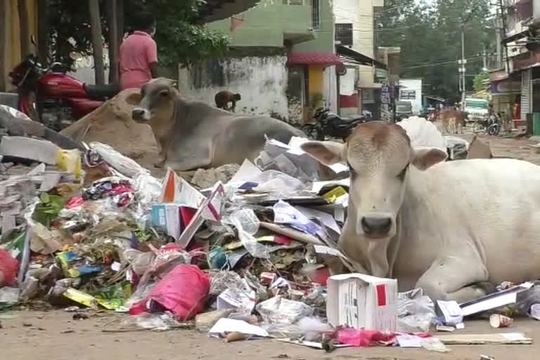 ସୁବର୍ଣ୍ଣପୁର ଜିଲ୍ଲା ବିନିକାରେ ସ୍ୱଚ୍ଛତା ମିଶନ ଫେଲ