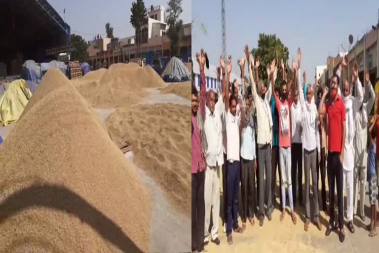 Radaur Grain Market Paddy Farmers protest