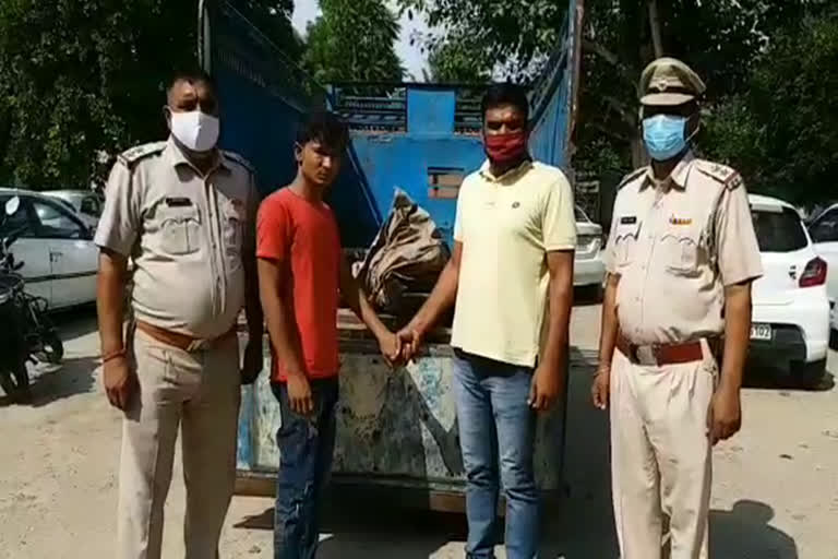 Cow smugglers arrested in rewari