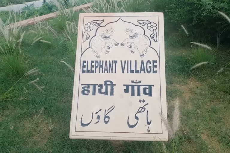 elephant protest, jaipur hathi gav