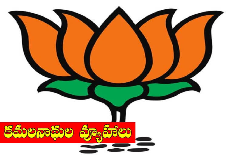 bjp special focus on elections in telangana