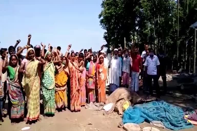 Morigaon Balimari Brahmaputra river erosion