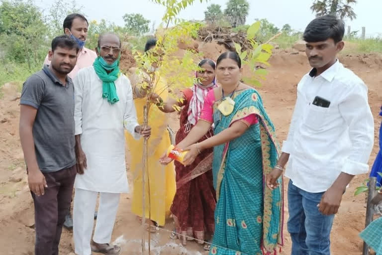 palle prakruthi vanam haritha haram in suryapet district