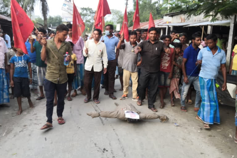 কৃষি আইনৰ বিৰোধিতাৰে কলগাছিয়াত চি পি আই এমৰ উত্তাল প্ৰতিবাদ