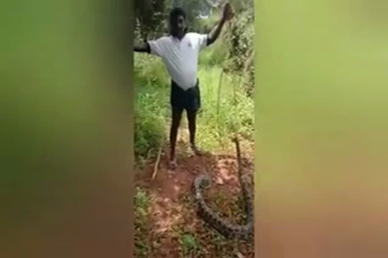 youth-killed-python-brutually