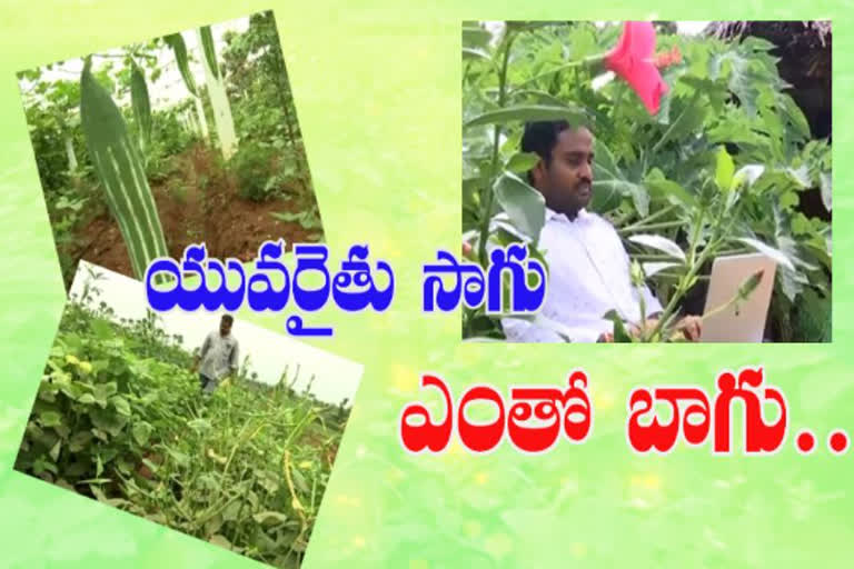 etv bharat special article young farmer sankar story