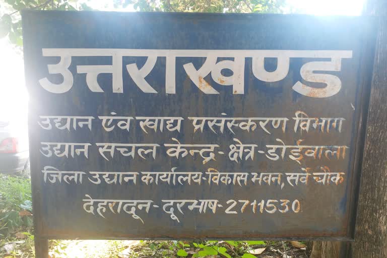 forest department doiwala dehradun updates