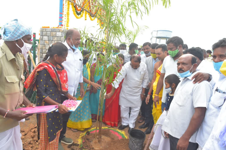 minister indrakaran reddy inaugurated palle prakruthi vanam at new velmal village in adilabad district