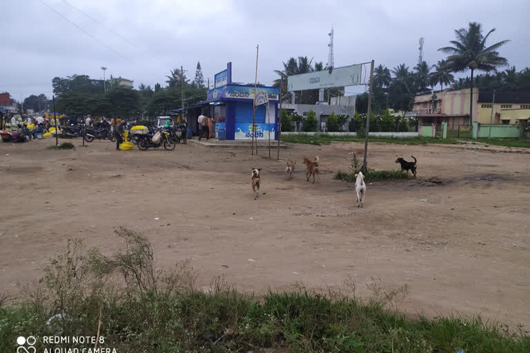 Officers have not taken action for street dog Arakkalgodu