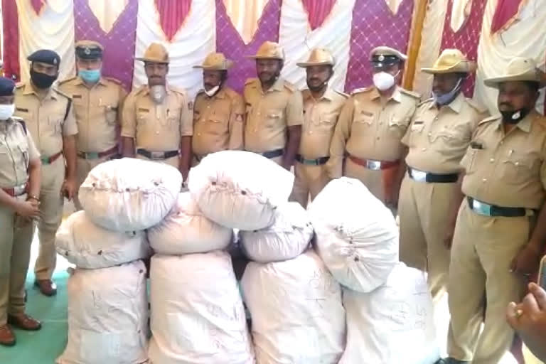 KGF Police Bust Cannabis Rackets  KGF Police news  KGF Police Seized Marijuana  കെജിഎഫ് പൊലീസ്  കഞ്ചാവ് പിടിച്ചെടുത്തു