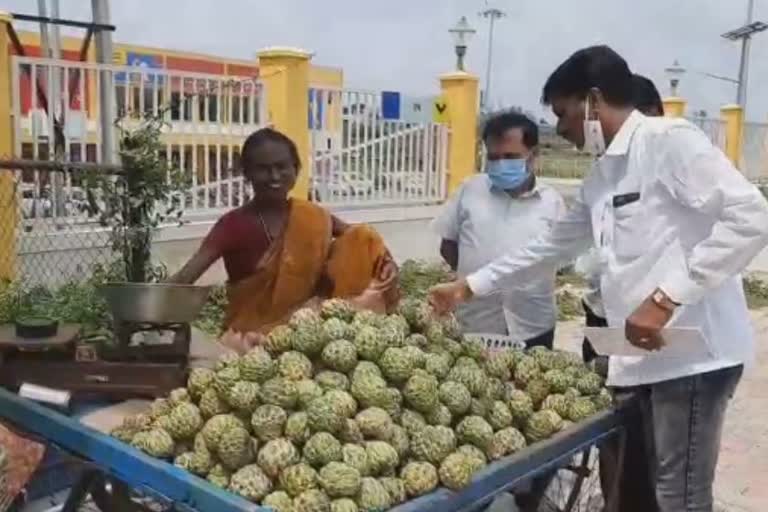 Custard Apple sale increased in Raichuru