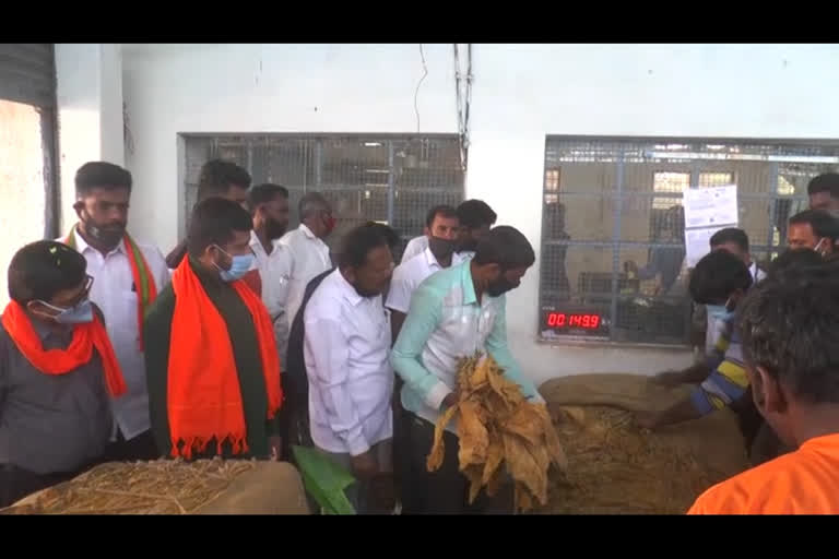 Pratap simha inaugurates the tobacco auction process