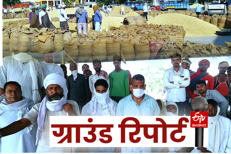problems of neighbor state farmers for paddy procurement in haryana mandi
