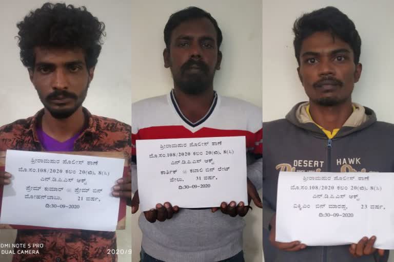 3-people-arrested-for-trying-to-sale-drug-in-auto