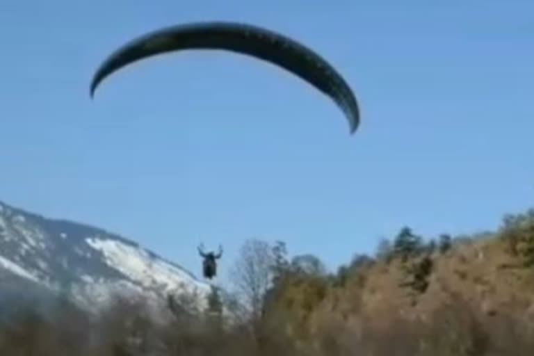 Paragliding suspended in Manali