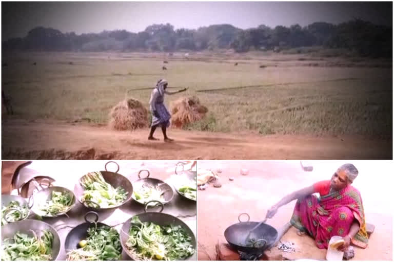 റാഞ്ചിയിൽ അനീമിയക്ക് പരിഹാരവുമായി നാട്ടുകാർ  അനീമിയക്ക് പരിഹാരവുമായി ജാർഖണ്ഡിലെ തോർപ്പ ഗ്രാമവാസികൾ  ഇരുമ്പ് പാത്രങ്ങളിൽ ആഹാരം പാകം ചെയ്‌ത് തോർപ്പ ഗ്രാമവാസികൾ  അനീമിയ രോഗ പരിഹാരം  remedy for anemia  jharkhand thorpa villagers found remedy for anemia  Jharkhand thorpa villagers using iron wok  Parivartan Didi