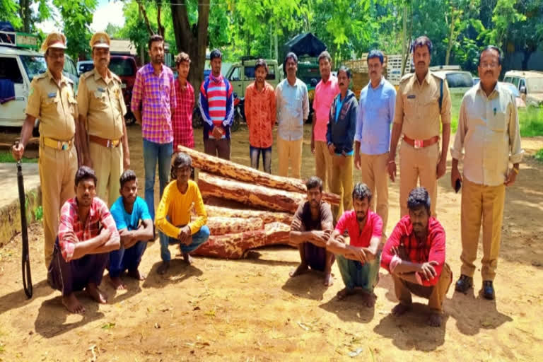 red sandalwood smugglers