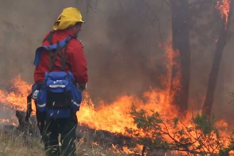 Northern California wildfires