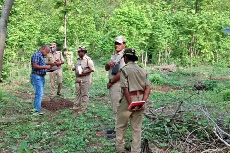 Lack of female staff in the Forest Department