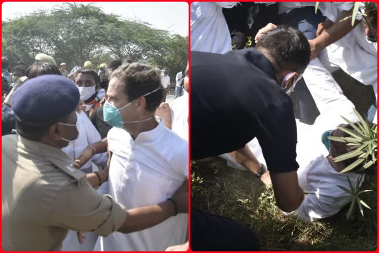 Rahul Gandhi and Priyanka Gandhi detained by Noida Police