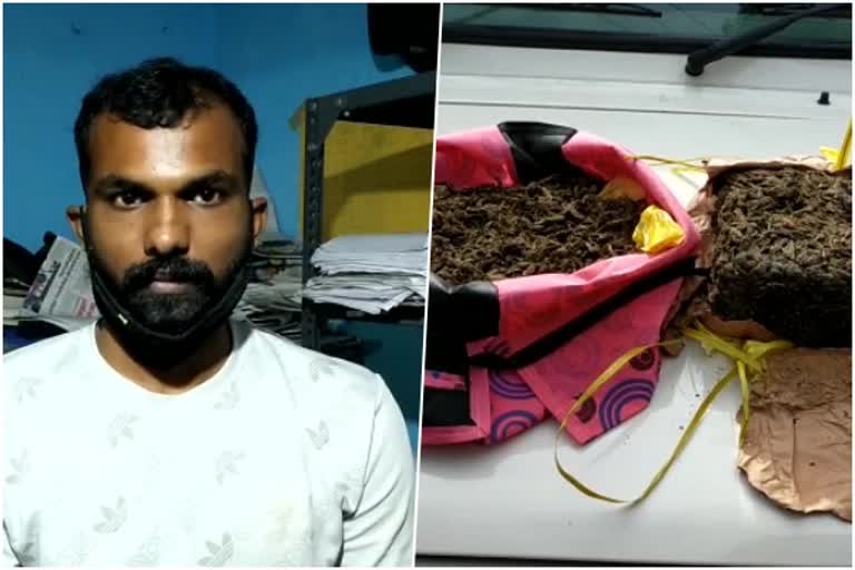 ganja seizure  idukki ganja  Narcotics idukki  Kerala excise department  കഞ്ചാവ് വേട്ട  ഇടുക്കി കഞ്ചാവ്