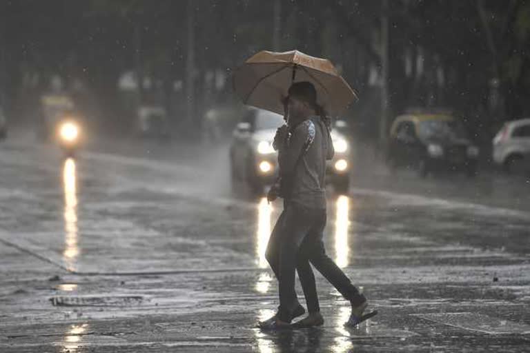 haryana monsoon rain weather update