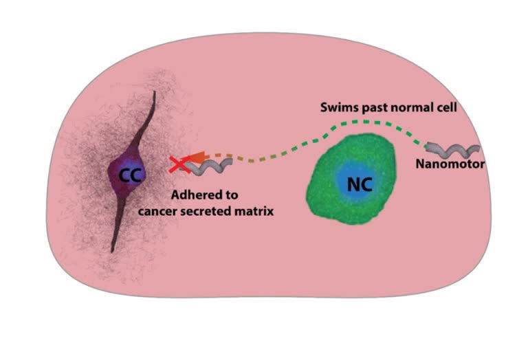 nanomotors , Magnetically-driven 'nanomotors'