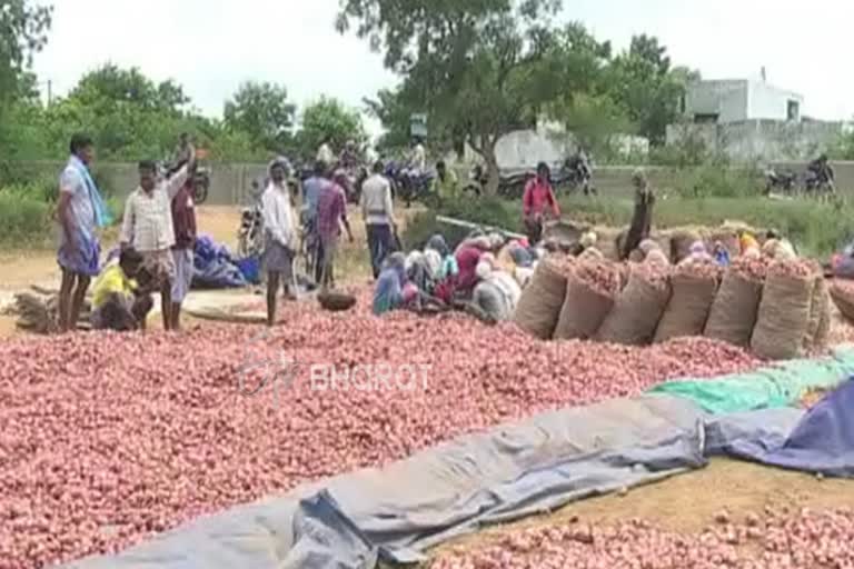 chitradurga: onion has not reasonable price