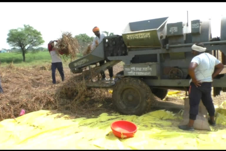 washim soybean farming