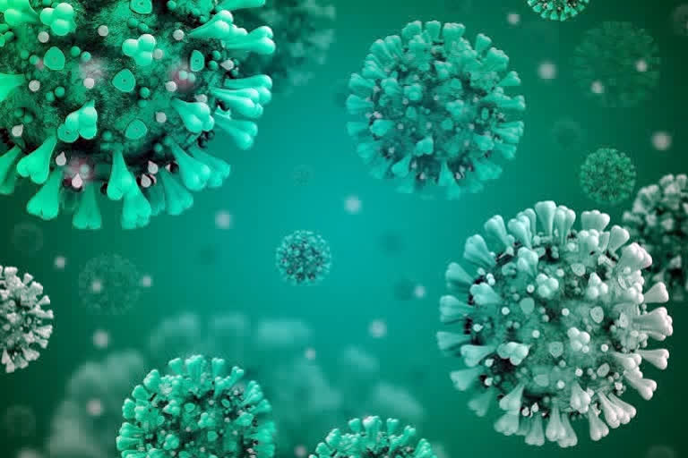 latest updates of corona virus in china