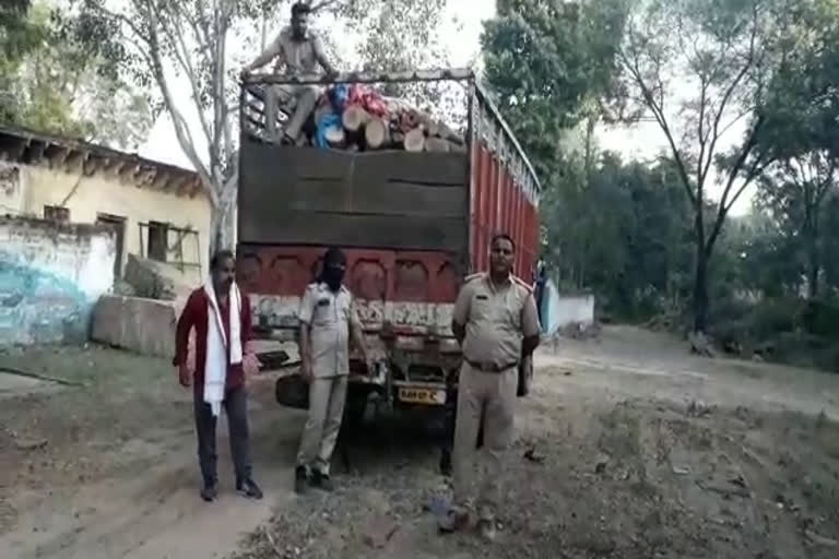 लकड़ियों से भरी गाड़ी जब्त, Car full of wood seized