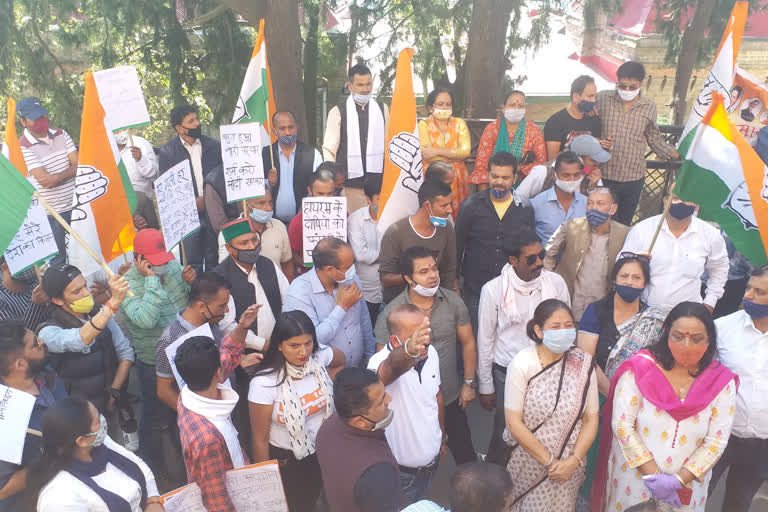 shimla congress protest news