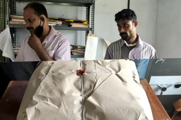 ganja seizure  idukki ganja  Kerala Excise Department  കഞ്ചാവ് വേട്ട  ഇടുക്കിയിൽ കഞ്ചാവ് വേട്ട  എക്‌സൈസ് കഞ്ചാവ് പിടിച്ചു