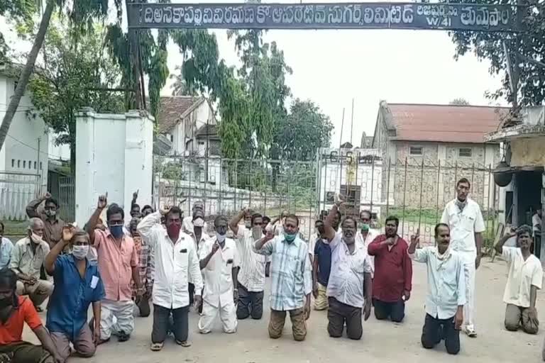 tummala sugar factory workers protest