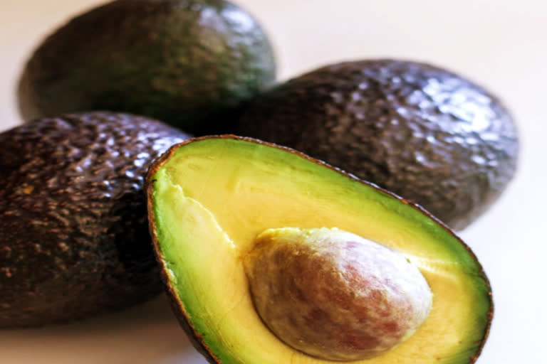 farmers-in-visakha-agency-cultivating-avocado