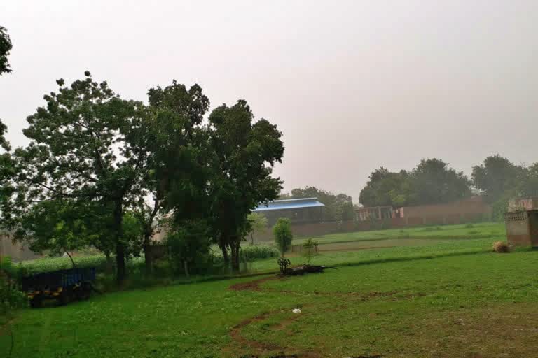 weather change in haryana