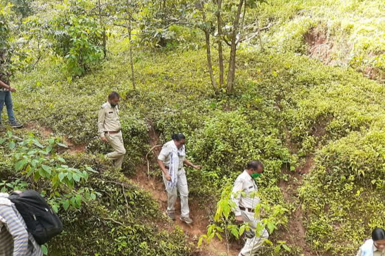 review of Kanha National Park and tiger reserve in kabirdham and mp border