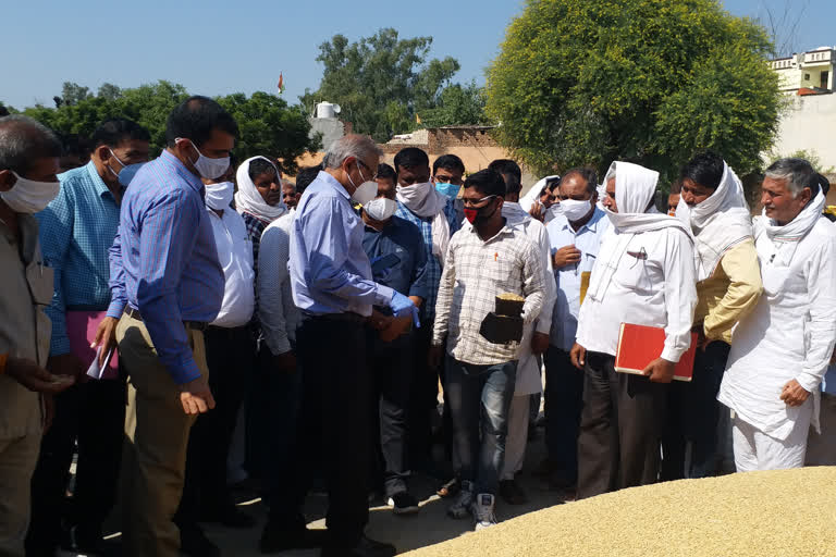 Additional Chief Secretary Devendra Singh visit gohana grain market