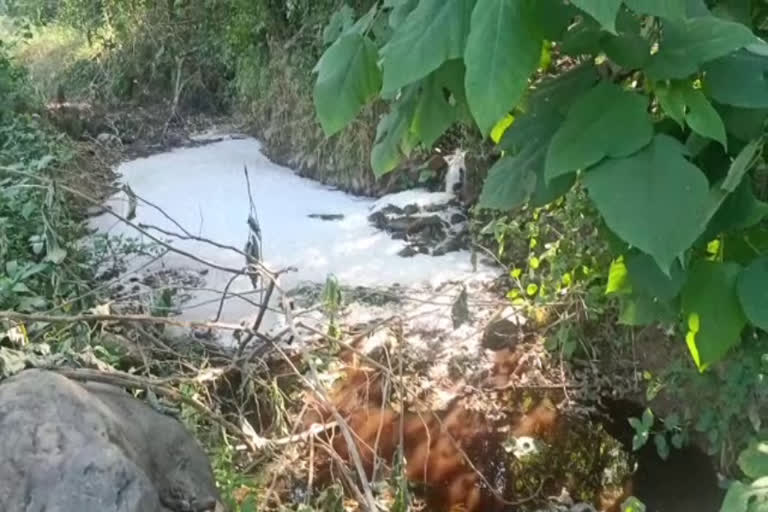 Greenlame industry left chemical-rich water in the drain at Panjaihra in Nalagarh