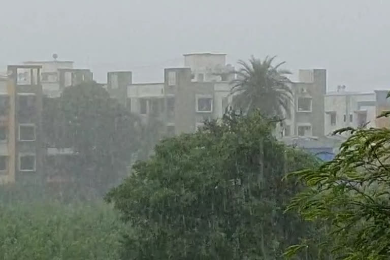 an average rainfall of 106 percent registered in Palghar district