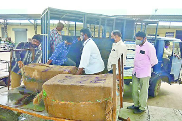 The meat mafia  in Vijayawada.