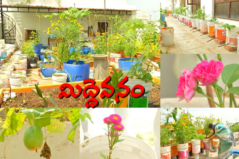 terrace gardening in mahabubnagar