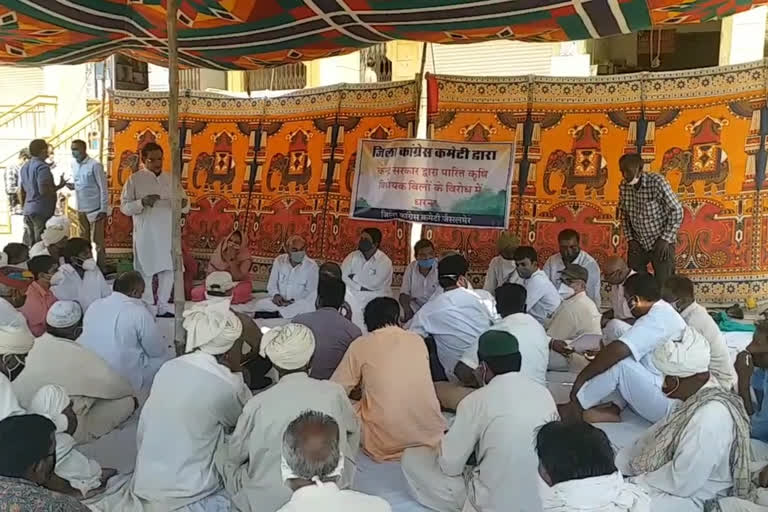 कांग्रेस ने दिया सांकेतिक धरना-प्रदर्शन, congress protested