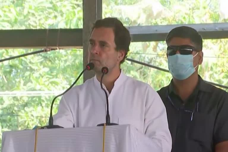 rahul gandhi in punjab moga for tractor rally against farm laws