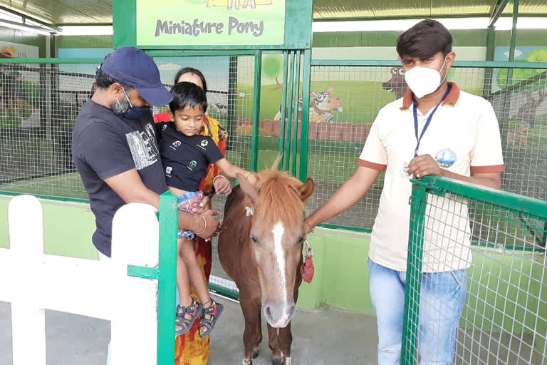 Pet zone ready for kids after the start of the jungle safari: opened for trial