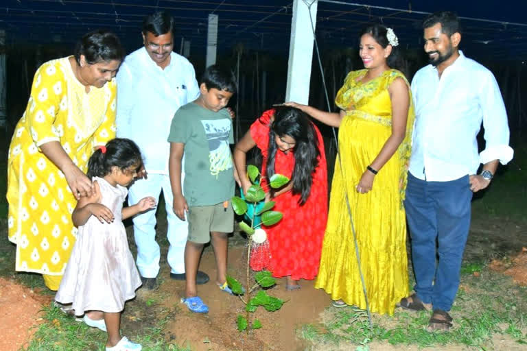 minister niranjan planted plants on his birthday