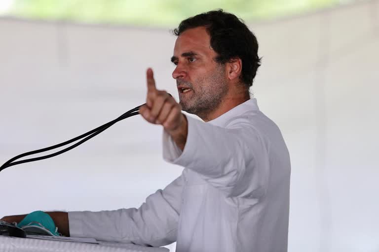 Farm-laws-to-be-consigned-to-wastepaper-basket-the-day-Cong-forms-govt-at-Centre-Rahul