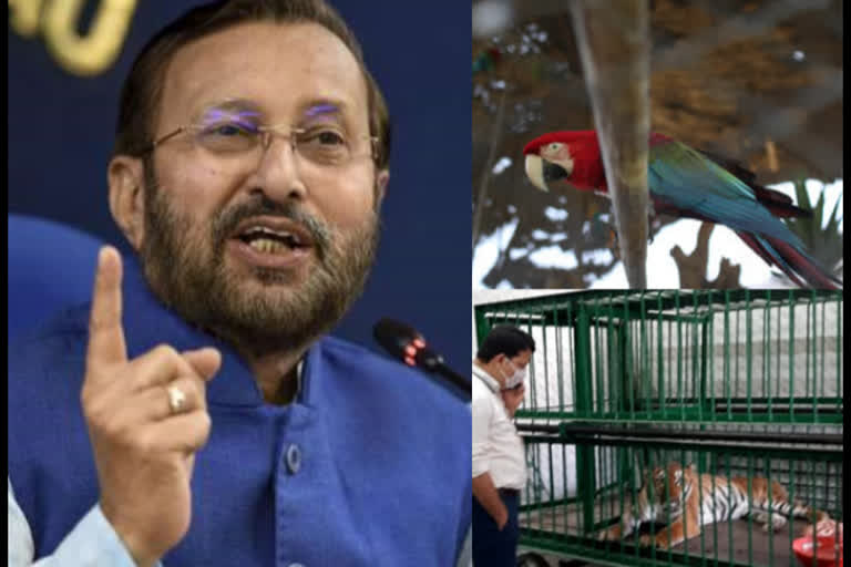 prakash javedkar says about zoos in country