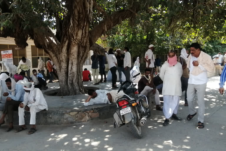 खेत में मिला युवक का शव, dead body of a youth found in the field