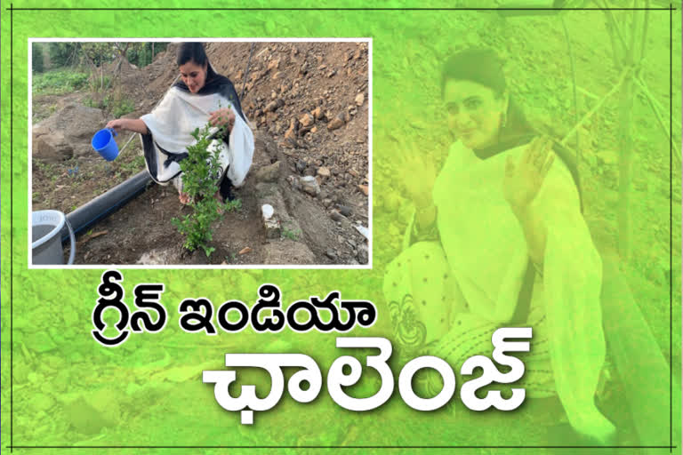 navneet kaur planted plants in green india challenge